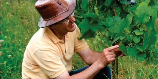  ?? ?? A la tête du vignoble des Arpents du Soleil, Gérard Samson fait figure de pionnier. Il s’est installé en 1995 dans le Pays d’Auge. (Crédits : DR)