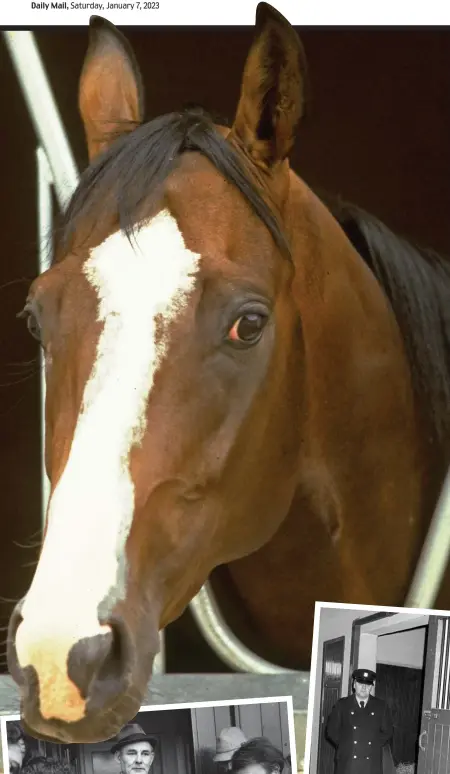  ?? ?? A violent end: Shergar was snatched and not seen again