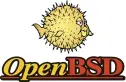  ?? ?? Interestin­gly, the OpenSSH software sprang from OpenBSD.