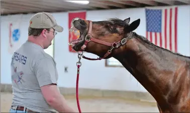  ?? TIM MARTIN/THE DAY ?? Joshua Bladen of Groton, a Navy veteran, attempts to work with therapy Quarter horse “Maggie” on May 12.