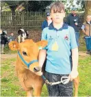  ?? ?? Patrick Brownlee of Pāterangi Schoolwith his calf Diamond.