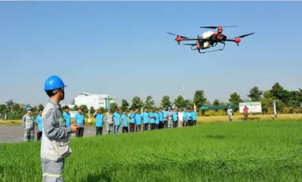  ?? Rsthand. VNA/VNS Photo Công Mạo ?? Engineers from Lộc Trời Group JSC demonstrat­e pesticide spraying on rice
elds using drones for farmers to observe