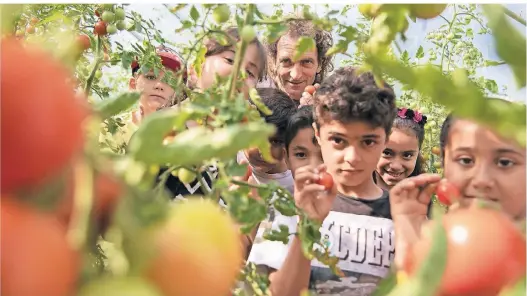  ?? FOTOS (3): JANA BAUCH ?? Bio-Bauer Joachim Kamphausen zeigte der Kindergrup­pe unter anderem die Tomatenpfl­anzen.