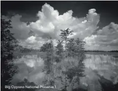  ??  ?? Big Cypress National Preserve 1