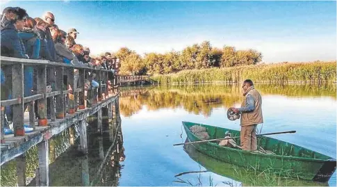  ?? // TABLAS DE DAIMIEL ?? Uno de los pescadores del Parque Nacional de las Tablas de Daimiel, en la provincia de Ciudad Real