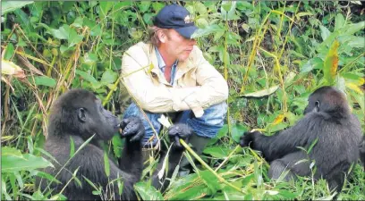  ??  ?? Damian Aspinall meets the gorillas now living free in Gabon