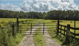  ?? WILLIE J. ALLEN JR./ORLANDO SENTINEL 2022 ?? Proposed developmen­t within Seminole’s rural boundary called for 300 homes on 1,361 acres off Snow Hill Road in Geneva.