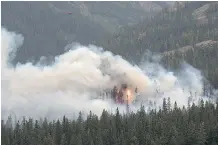  ??  ?? Parks Canada continues to work with the U. S. National Parks Service to fight a 10- hectare forest fire in Montana’s Glacier National Park, about 260 kilometres southeast of Calgary.