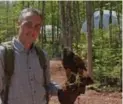  ??  ?? Jamie Stride, of Island Falconry service, and Hulk, a Harris’s hawk, accompany guests on a forest walk.