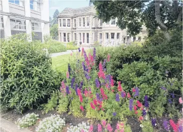  ??  ?? Original . . . Bright larkspurs with the original bluestone homestead in the background.