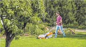  ??  ?? FOTO: COLOURBOX Eine Runde mit dem Vertikutie­rer sorgt dafür, dass der grüne Teppich im Garten wieder frei atmen kann.