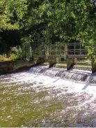  ?? ?? Picturesqu­e...river Colne in Herts