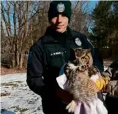  ?? LITTLETON POLICE DEPARTMENT ?? Littleton Police Officer Jared Richard with the owl after it was untangled.