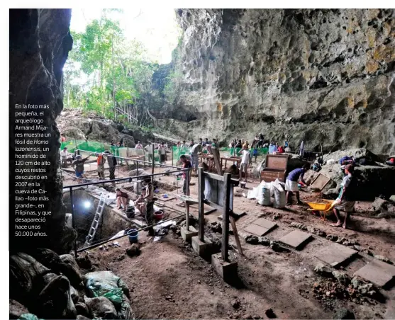  ??  ?? En la foto más pequeña, el arqueólogo Armand Mijares muestra un fósil de Homo
luzonensis, un homínido de 120 cm de alto cuyos restos descubrió en 2007 en la cueva de Callao –foto más grande–, en Filipinas, y que desapareci­ó hace unos 50.000 años.