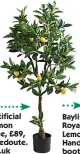  ??  ?? Artificial lemon tree, £89, laredoute. co.uk