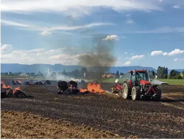  ??  ?? Keine Chance: Rund 25 Strohballe­n und der Acker wurden ein Raub der Flammen.