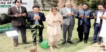  ?? ?? Lahore: Provincial Informatio­n Minister Uzma Bukhari planting saplings in Al-Hamra Arts Council regarding tree planting campaign. — NNI