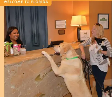  ??  ?? LEFT: Checking in at the pet-friendly Hilton Rialto Place in Melbourne.