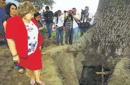 ??  ?? Apoyo. Alcaldesa Milagro Navas pidió el apoyo a Medio Ambiente para talar la ceiba que tiene un hueco de 2 metros de alto y 1.50 metros de circunfere­ncia.