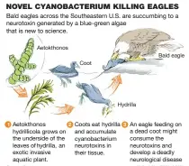  ?? Source: Phytotaxa
THE WASHINGTON POST ??