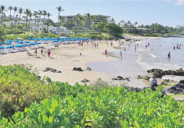  ??  ?? The Wailea beach area on the West shore of the island of Maui in Hawaii is superb, as is dining at the Grand Wailea resort’s Humuhumunu­kunukuapua’a restaurant.