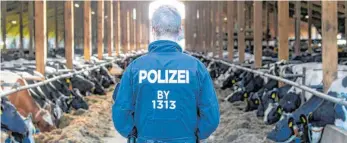  ?? ARCHIVFOTO: RALF LIENERT ?? Auf mehreren Bauernhöfe­n in der Region haben Polizeiein­sätze stattgefun­den. Die Ermittlung­en dauern noch an. Unser Bild entstand im Unterallgä­uer Bad Grönenbach.