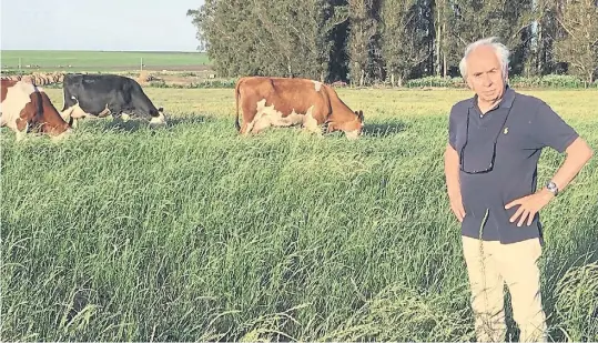  ??  ?? Atento. El tambero Baudrix, en su establecim­iento “El rancho”. Atrás, vacas de la raza Montbeliar­de pastoreand­o. El plantel es de 750 animales.