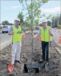  ??  ?? Hastings District councillor Kevin Watkins, left, and Havelock North Rotary Club president John Pollard were among a large band of volunteers who took about an hour and a half to plant the new trees on Napier Road.