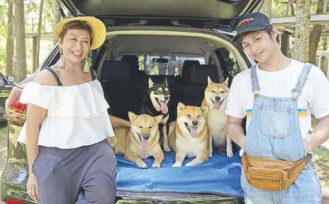  ??  ?? A family affair: Ces, the Shibas and youngest son and dog whisperer Andre Drilon