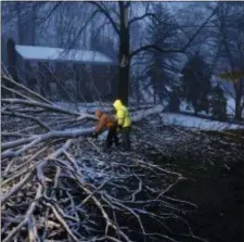  ?? ASSOCIATED PRESS ?? Marple Township Streets department workers David Boardly, left, and James Ockimey clear a downed tree during Friday’s winter storm.