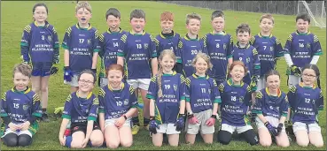  ?? ?? Cois Bhríde U9 team that plalyed Dungarvan and Rathgormac­k at home.