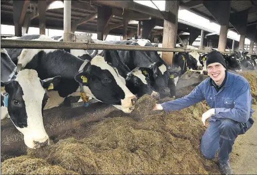  ?? BILD: Horst Lohe ?? Hendrik Lübben (39) im Kuhstall seines Milchviehb­etriebes in Langenriep bei Abbehausen