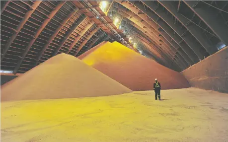 ?? NAYAN STHANKIYA/REUTERS FILES ?? Potash giant Nutrien says the desire for alternativ­e sources of fertilizer following the Ukraine war has opened opportunit­ies. It says supply challenges and higher commodity prices more than offset other headwinds such as a delayed start to the U.S. growing season.
