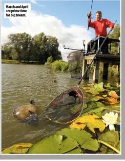  ??  ?? March and April are prime time for big bream.