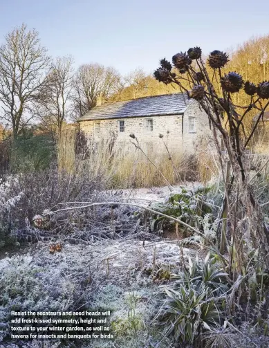  ??  ?? Resist the secateurs and seed heads will add frost-kissed symmetry, height and texture to your winter garden, as well as havens for insects and banquets for birds