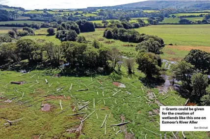  ?? Ben Birchall ?? > Grants could be given for the creation of wetlands like this one on Exmoor’s River Aller