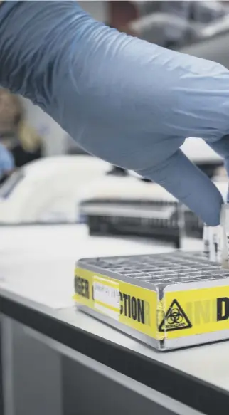  ??  ?? 0 A clinical support technician extracts viruses from swab samples so that the genetic structure of a virus can be analysed and identified in the coronaviru­s testing laboratory at Glasgow Royal Infirmary