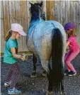  ?? Foto: Schaa-Schilbach ?? Kinder lieben den Kontakt zu Ponys. Die Waldreitsc­hule St. Anna bietet dazu Gelegenhei­t bei zwei Kursen der Volkshochs­chule für Fünf- bis Zwölfjähri­ge.