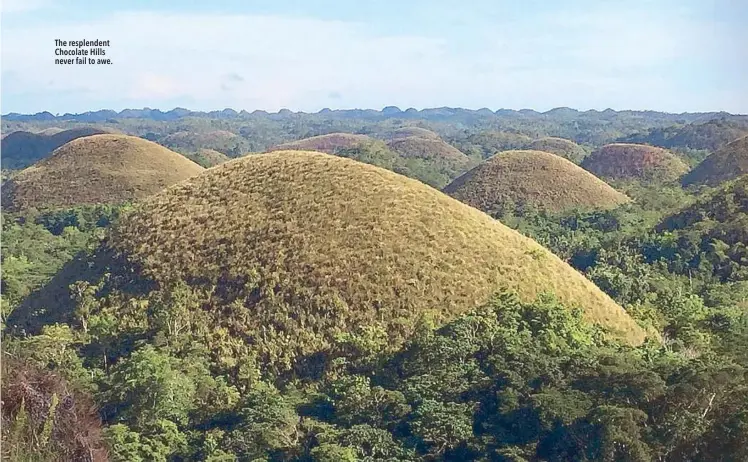  ??  ?? The resplenden­t Chocolate Hills never fail to awe.