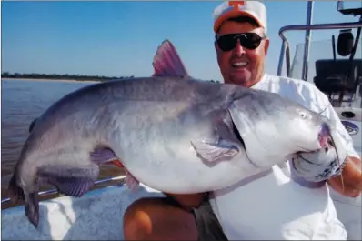  ?? COURTESY OF BILL DANCE ?? Renowned fisherman Bill Dance of Colliervil­le, Tenn., landed this 55-pound blue cat in the Arkansas portion of the Mississipp­i River in 2012. It was only half the size of another giant he caught later in the same locale.