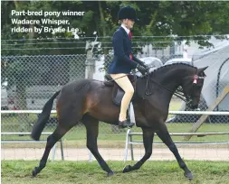  ??  ?? Part-bred pony winner Wadacre Whisper, ridden by Brynie Lee