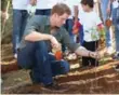  ??  ?? Prince Harry helped plant trees last month in Brazil. Why can’t we do the same, asks Mark Cullen.