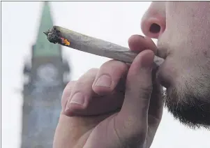  ?? CP PHOTO ?? A man lights a marijuana joint as he participat­es in the 2015 4/20 protest on Parliament Hill in Ottawa. New federal legislatio­n to legalize pot is expected to be outlined next month.