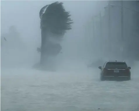  ?? Foto: Chip Somodevill­a, afp ?? Nichts geht mehr auf dieser Straße in Fort Lauderdale an der Ostküste. Die Ausläufer des Hurrikans haben auch hier erste gewaltige Schäden verursacht. Die Verkehrswe­ge sind überflutet, die Bäume stemmen sich gegen den Sturm.