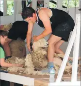  ??  ?? PRESSURE TEST: Hamish won four of the five Agri-challenges, including the sheep shearing.