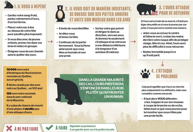 Conseils, Attaqué par un ours noir : survie 101