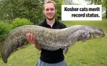  ??  ?? Kosher cats merit record status.