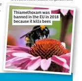  ??  ?? Thiamethox­am was banned in the EU in 2018 because it kills bees