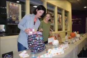  ?? BRIANA CONTRERAS — THE MORNING JOURNAL ?? Kelly Kupach, a board member of Friends of Avon Lake Public Library, and her daughter Emily, 11, show off Sept. 9 some of the prizes raffled off to new or returning members of the Friends library fundraisin­g group during their annual Fall Friendzy – Membership Drive and Prize Raffle Day.