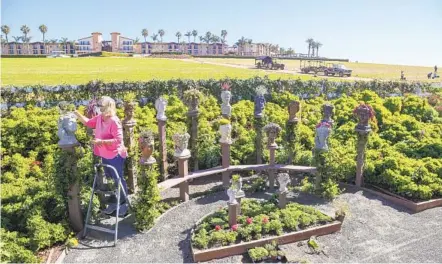  ?? EDUARDO CONTRERAS U-T ?? Gardener Judy Mackenzie works on the “Pot Head” display, with pots fashioned after Greek busts that have plants growing from their “heads.” She created a similar display last year and was disappoint­ed when the season was cut short.